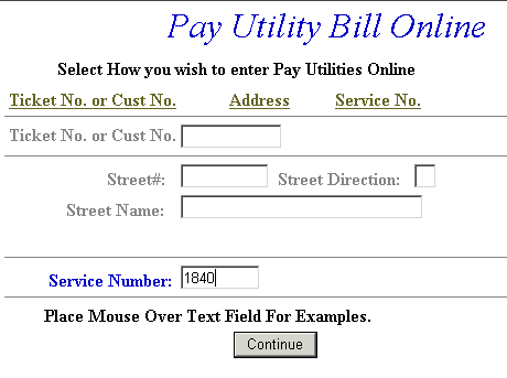 Enter check information example