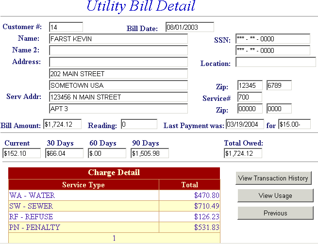 Account detail example