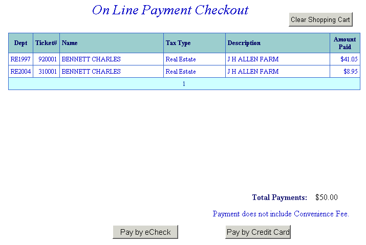 Payment options example