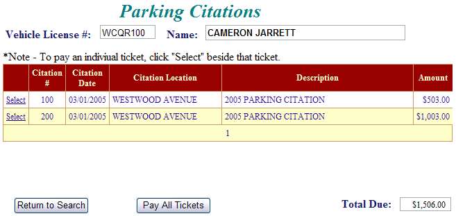 Select parking citation example